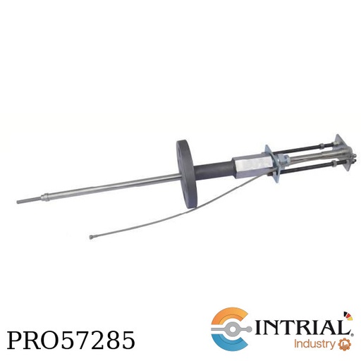 [M3520HT-T20-K03005-30-2.0-72-1-1-0] Cylindrical MICROCOR® Probe M3520HT with Flanged Stuffing Box for High Tmperature