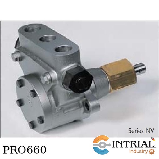 [NVBGRG-D-4-10-BH1] Serie NV Con válvula de seguridad, 480 L/H