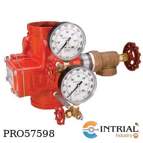 [CV-1FR(4)] 4" Grooved-End Riser Check Valves TYCO 4" 300 psi (20,7 bar)