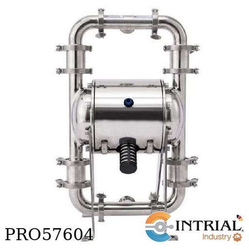 [QBW3-25P316LTFF] ​1" Sanitary Diaphragm pump GIENS 4.5 m 57 L/min PTFE