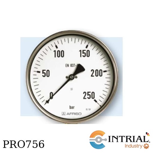[RF100Ch-D412] Manometro 4" Post. Bronce  (0 a 400 bar / 0 a 5800 psi)