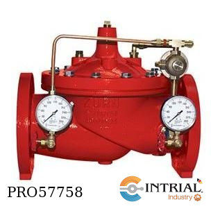 [ZW209FPG] VALVULA REDUCTORA PILOTEADA RANURADA ZURN 50 – 165 psi