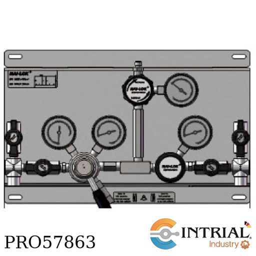 [I-PMD-S-40-20-4F-W] Dual Stage Semi Automatic Changeover System INTRIAL 316 stainles steel 3500 psi 1-4 NPTF