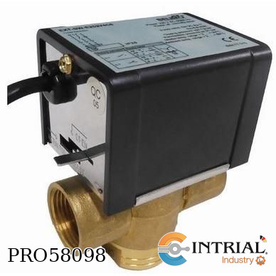 [EXT-SW-NE252C8] Válvula de zona con actuador BELIMO 1" Roscada 230VAC/50/60Hz