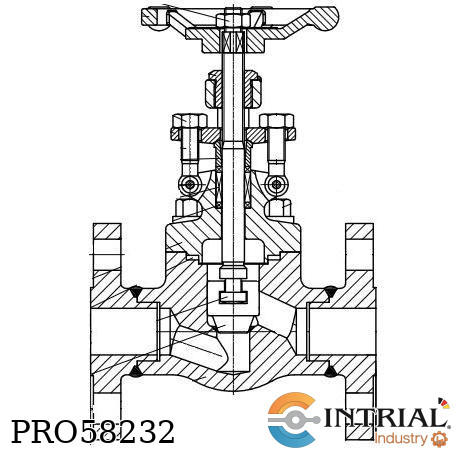 [150LB-2] GLOBE VALVE REX VALVES 2" 150LB