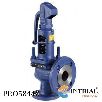 [FIG.12.901(142PSI)] VALVULA DE SEGURIDAD ARI SAFE ARI ARMATUREN DN40 X DN65 142PSI