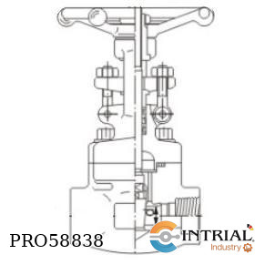 [1-1/2-CL800] GATE VALVE GUANGXI DEXIANG 1 1/2" ASTM A182GR. F9
