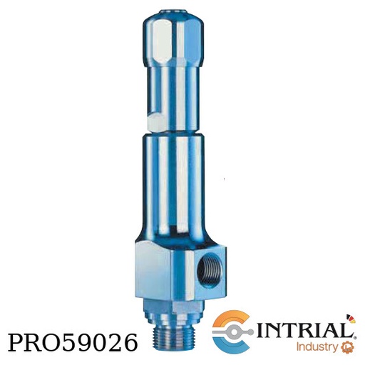 [4374.3142] VALVULA DE SEGURIDAD Y ALIVIO LESER 3/4" MNPTx1"FNPT 65 PSIG 78.5 mm2