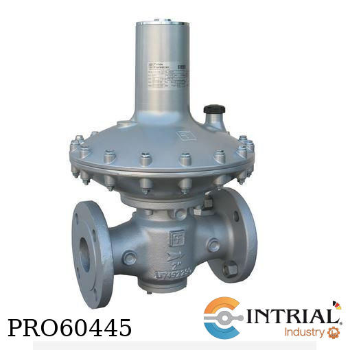 [DIVAL-600-2] DIRECT-OPERATED PRESSURE REGULATOR PIETRO FIORENTINI 2"  2 MPa -20°C to + 60°C