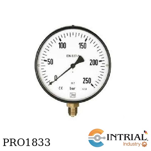 [MAN-RD77V-C3-Y(NPT)] Manometro Tipo Bourdon MAN-RD, 0-160 bAR, 63 mm. 1/4" NPT