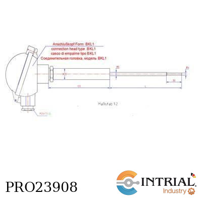 [PRO23908] resistance thermometer Pt100, 160mm