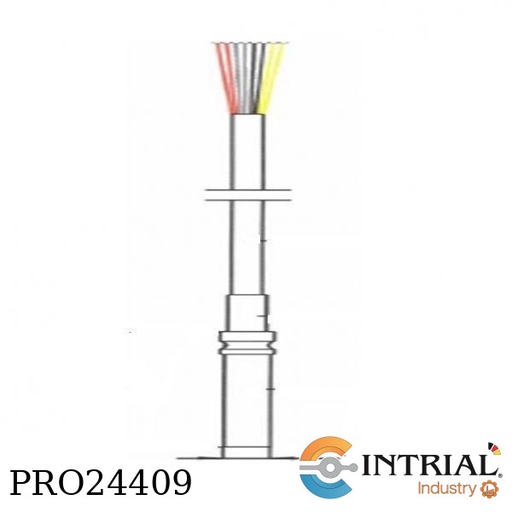 [RTD2PT4SCHENK-S-60-6-20M(B2005530)] CABLE THERMOMETER, Protection tube: D 6 x 60 Ig, stainless steel