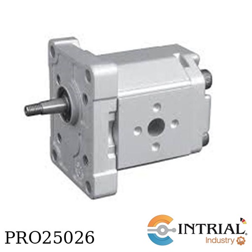 [HZRP-GAA20100R-R1K1-GFGD-N1] GEAR PUMP,  56.0x73.0 - Ø30.0, ¾“, (cm3): 10.0
