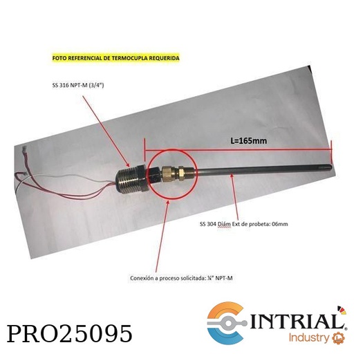 [GPX10100-A60CACA2071DMA01651] Pt-100, 165mm, 3/4Npt, SS316