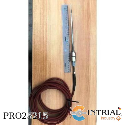 [PRO25215] Resistance Thermometer Pt100, 310 mm, 25m cable