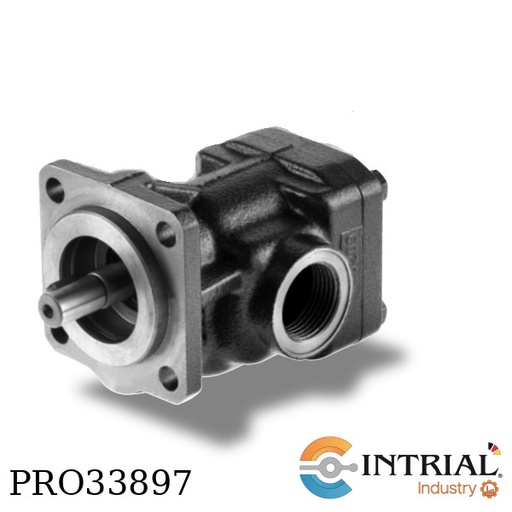 [KF12-RF-7/74] GEAR PUMP, G 3/4"