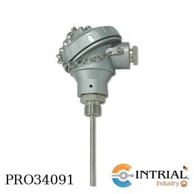[PTDSL6350025] SENSOR PT100 DOBLE DE 1/4"x25MM CABEZAL GRANDE