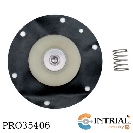[DCD0035] DIAPHRAGM REPLACEMENTS FOR SERIES DCV/RDC, 1-1/2˝, 304 SS