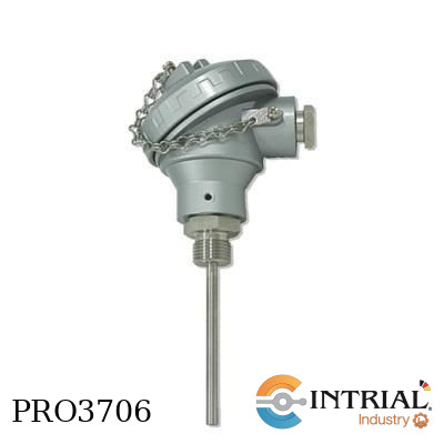 [PTDSL635038-1] SENSOR PT-100 DOBLE, 1/8'' Npt, 38 mm,