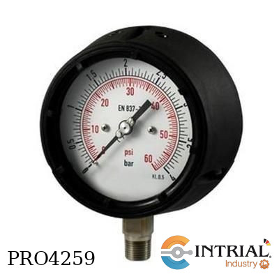 [RF130PGGly-D602(0a300PSI)] Manometro, 0 a 300 PSI, SS