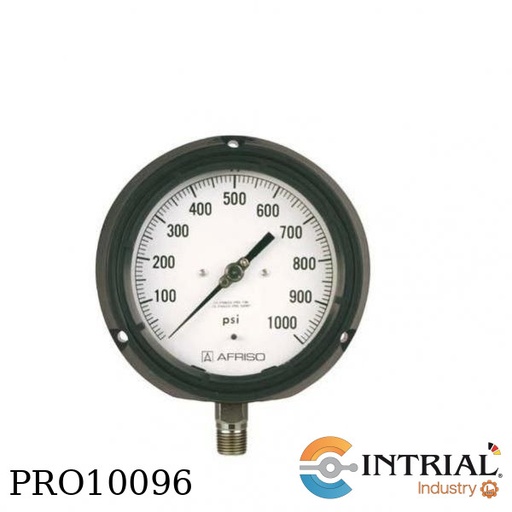 [RF130PG;D102(87922102)(0a250bar)] MANOMETRO, FENOLICO,D: 4 1/2", 0-250 PSI, 1/2" NPT, SS316, CON GLICERINA