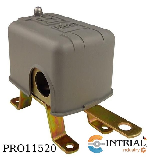 [9036DG2] Float Switch, NEMA 1, 2NC