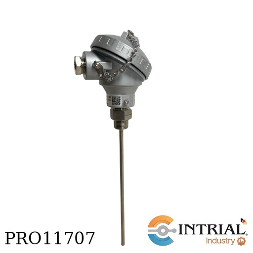 [PTS-635-0020] Pt-100, 1/4, 200mm, 1/2Npt, SS316