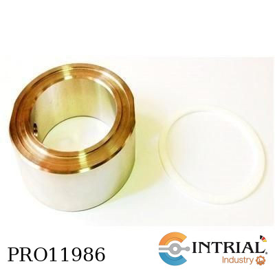 [PTCTE-01301] PTCTE-01301(Anillo 2”)
