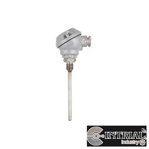 [32225] Sensor de Temperatura tipo Pt100(RTD)(G 1/4)