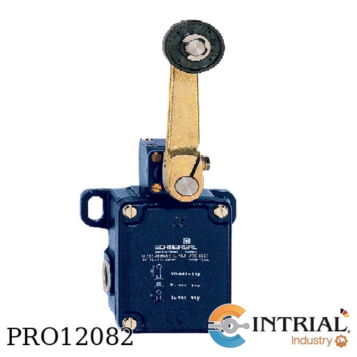[TD-441-11-Y-M20] SWITCH RODILLO, 1NO+1NC, -30...+30 degress