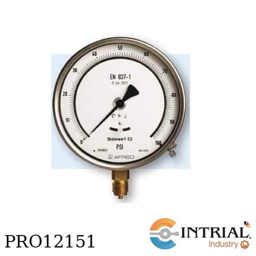 [RF160F-D401(0-100Bar)] Manometro RF160F,D401(0 a 100 Bar)