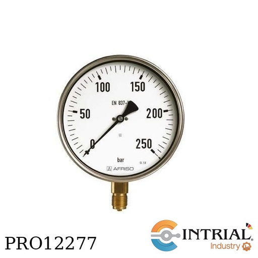 [RF100I-D451(0-600bar)] Manometro 4" , conex poster 1/2 npt