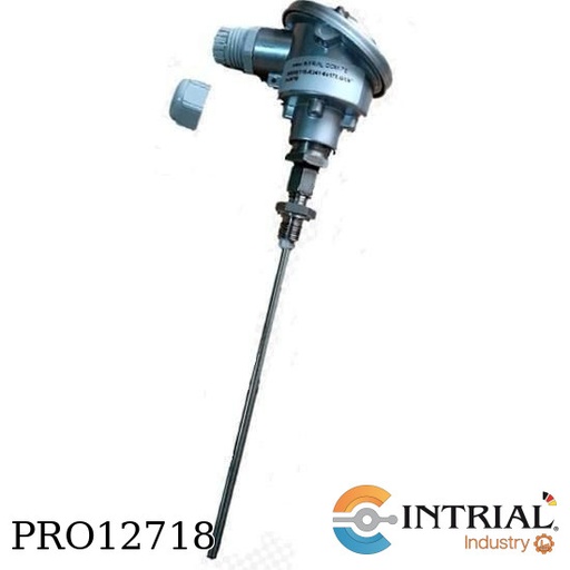 [PRO12718] Pt-100, 6mm, 170mm, G1/4