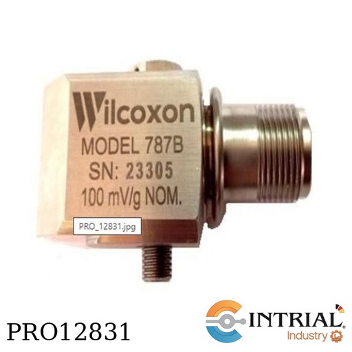 [787B] Sensor de Vibracion, 100 mv/g