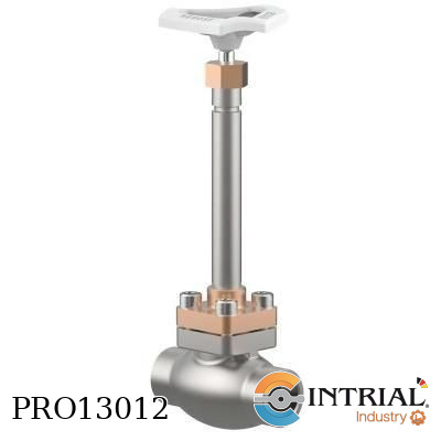 [01325-0200-0016] Cryogenic globe valve, PN50, ¼” NPT, 270 mm