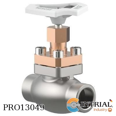 [01335-0200-0006] Cryogenic globe valve, PN50, ¼” NPT