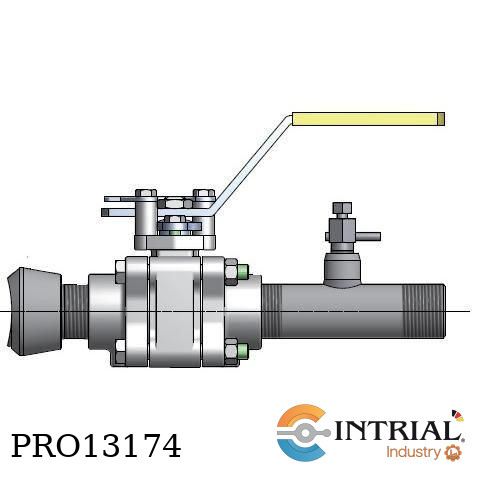 [061500-4-BV] Access Valve Assembly Retractable 4"-36" with SS Bleed Valve