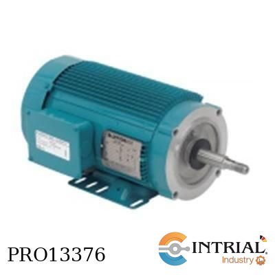 [5000-03-ODP] MOTOR ELECTRICO, 1/3 HP, 1725 RPM