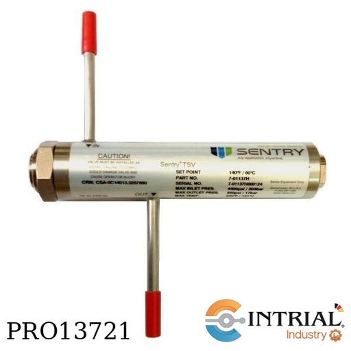 [7-01137H] TSV WITHOUT SWITCHES, 140°F ( 60°C) set point