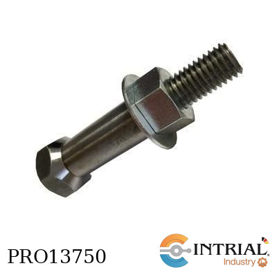 [340.552] Centr Bolt