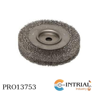[340.160] escobilla de fierro 6 Pulg